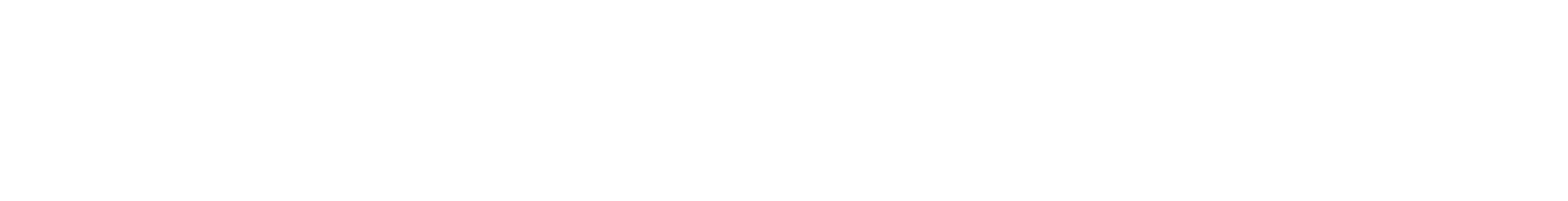 Rennstahl_Horizontal_Lockup_wo_descriptor_White